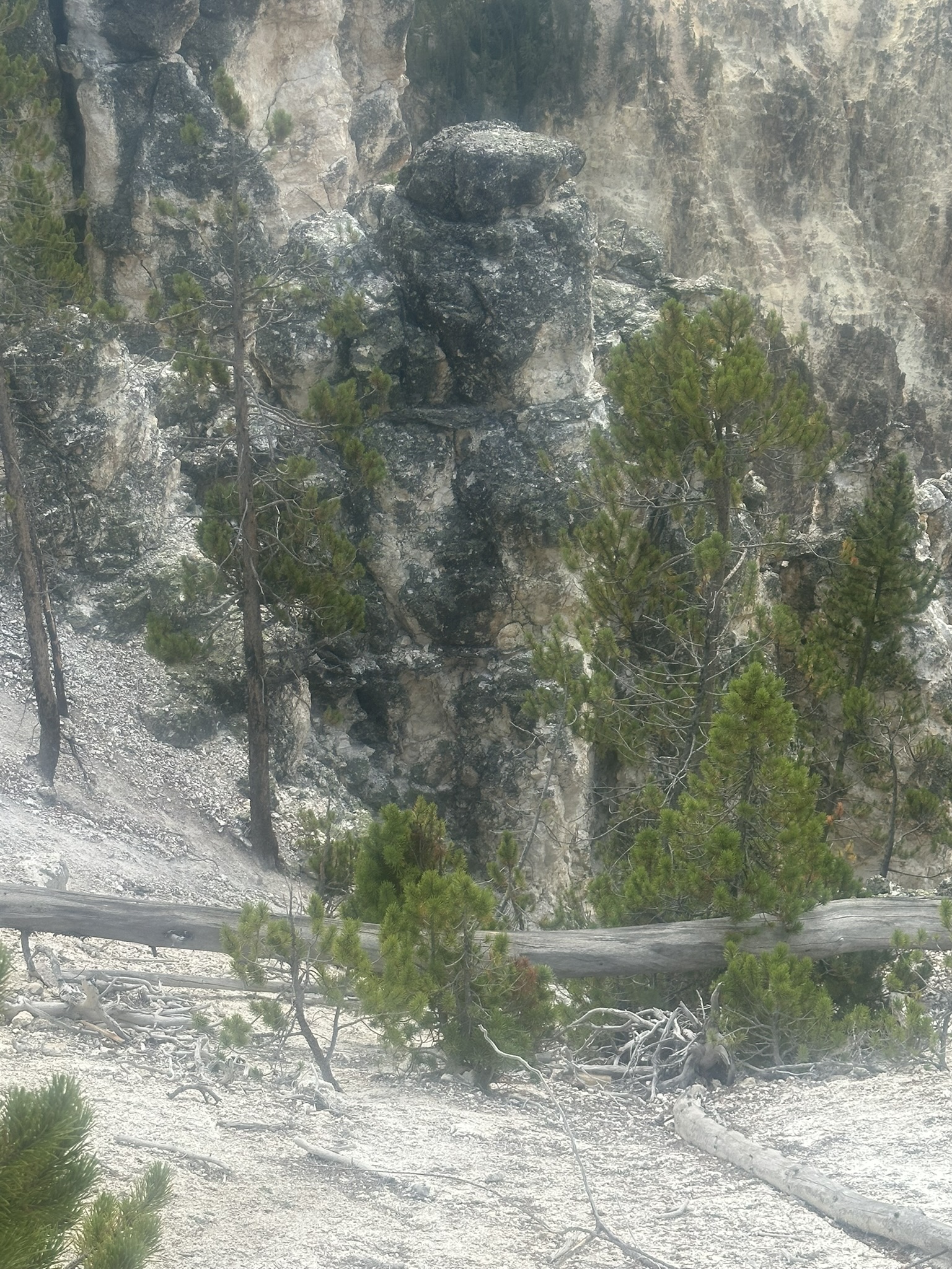Yellowstone And Grand Teton National Parks - Image 657